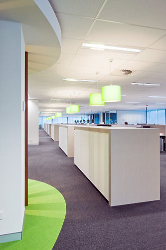 Dimension 8 Lighting – IiNet